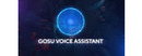 Logo Gosu