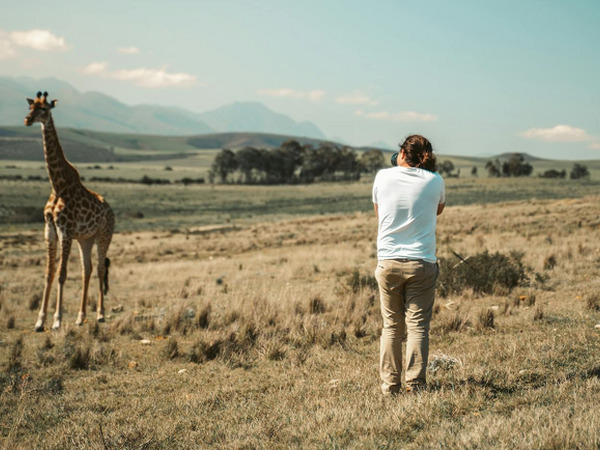 thumbnail of Slik forbereder du deg på en uforglemmelig safariferie i Afrika